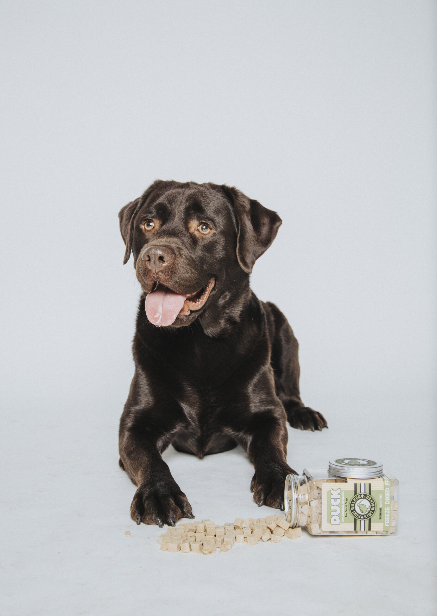 photographe animaux paris 1 84